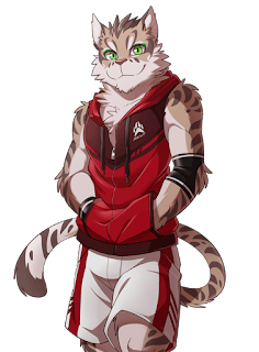 Guía de Nekojishi 3 Guía de Nekojishi