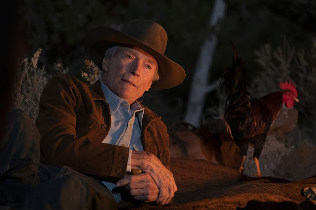 Crítica de Cry Macho Escena de descanso con Mike Milo (Clint Eastwood) y el gallo de batalla Macho.