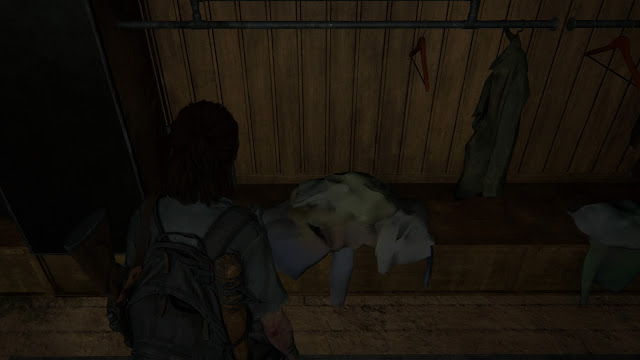 The Last of Us Parte 2 - Texturas de mala calidad The Last of Us Parte 2 - Texturas de mala calidad