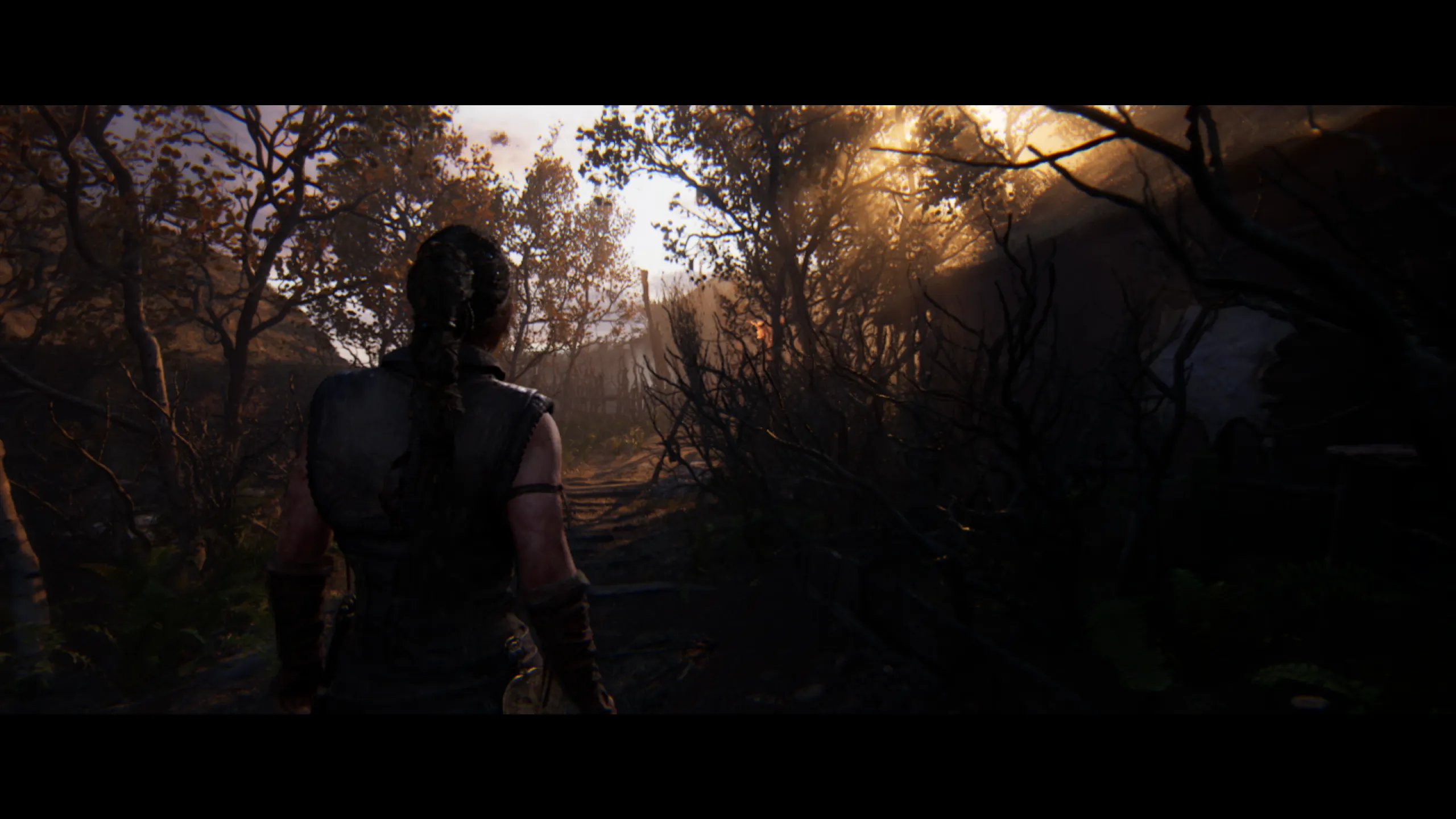 Análisis de Hellblade 2 - Bosque