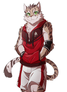 Guía de Nekojishi 3 Guía de Nekojishi