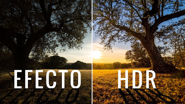 TODO LO QUE DEBES SABER PARA COMPRAR TU MONITOR - REPORTAJE TODO LO QUE DEBES SABER PARA COMPRAR TU MONITOR - REPORTAJE