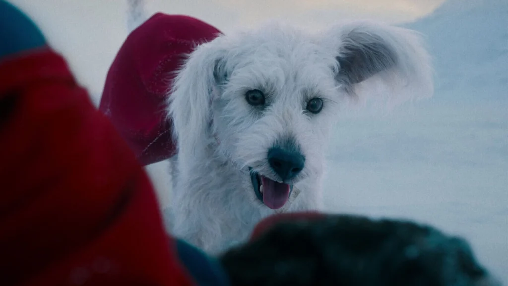 Krypto Superman 2025
