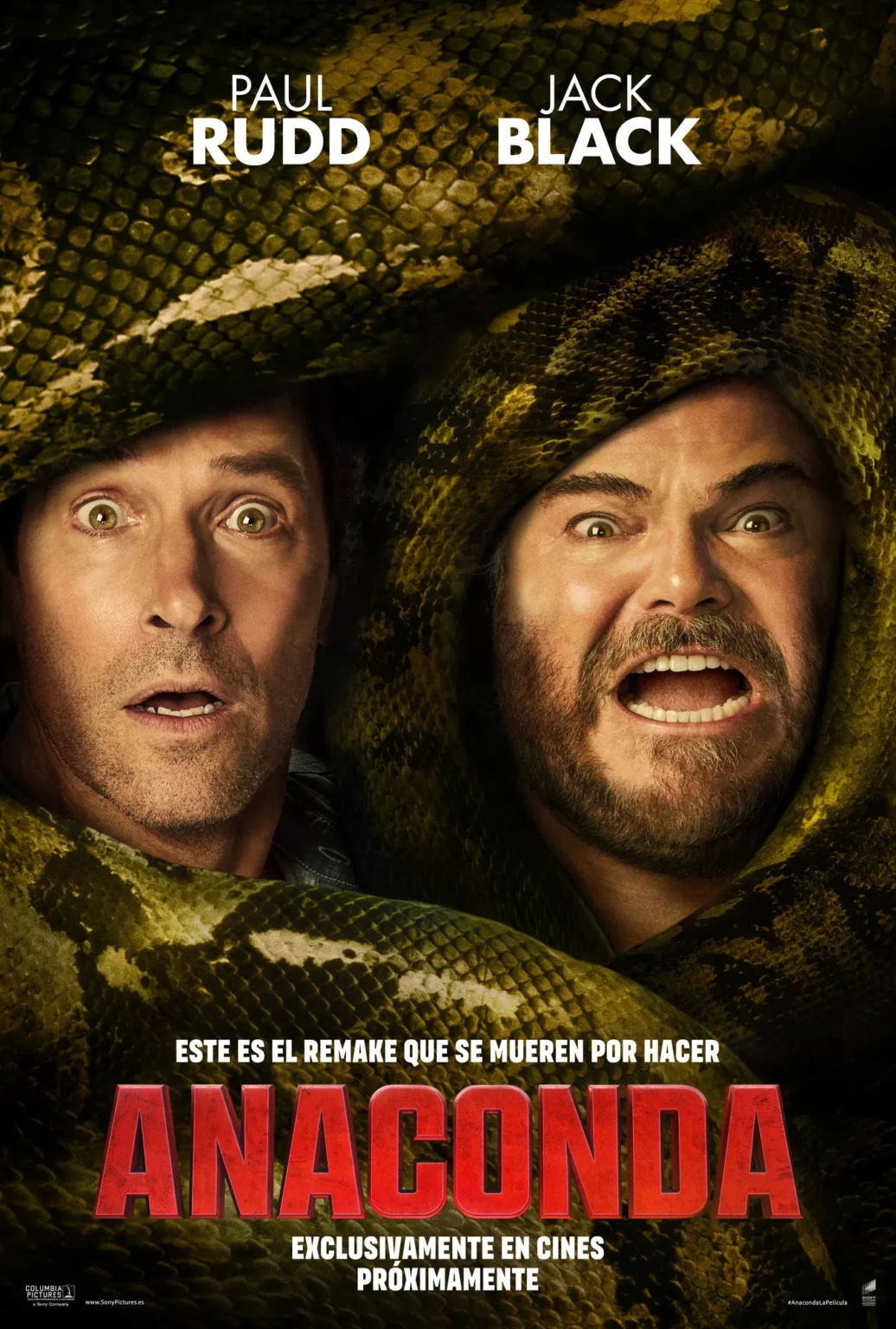 Cartel Anaconda
