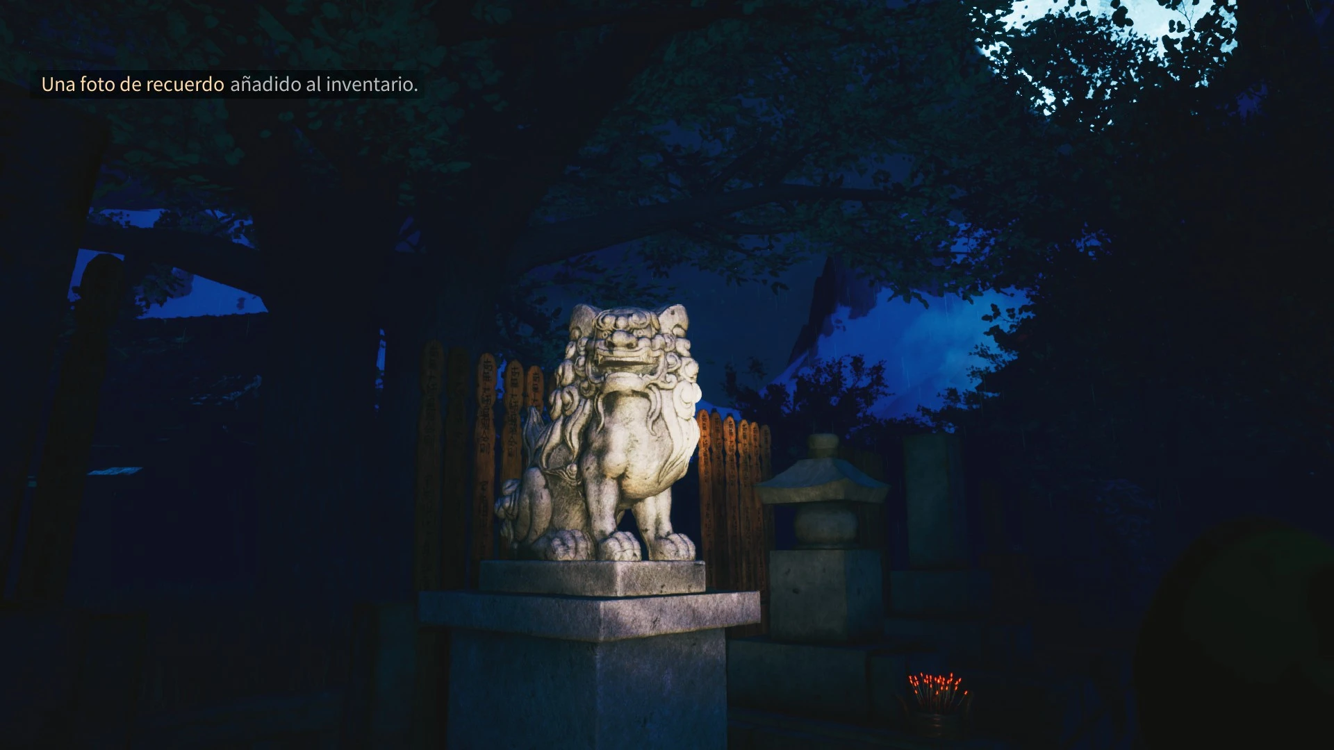 Análisis The Sinking Forest en PC 9 Podemos usar la camara para fotografiar todo lo que se nos antoje