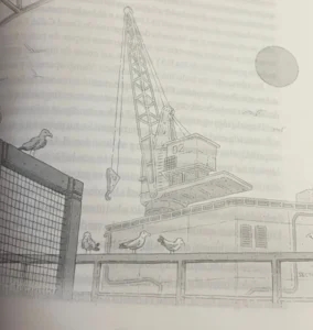 ilustración Big Shel