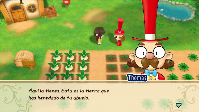 Alcade - Story of Seasons: Friends of Mineral Town Alcade - Story of Seasons: Friends of Mineral Town