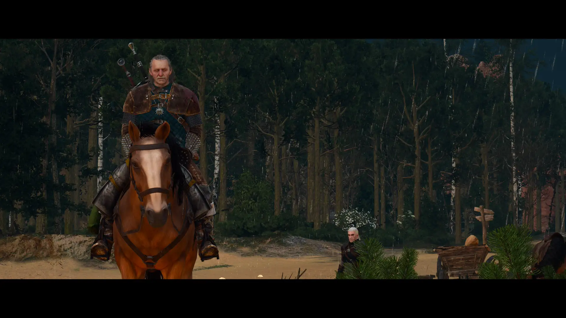 Análisis The Witcher 3: Wild Hunt Remastered en Nintendo Switch 2 26 the witcher 3 remastered nintendo switch 2